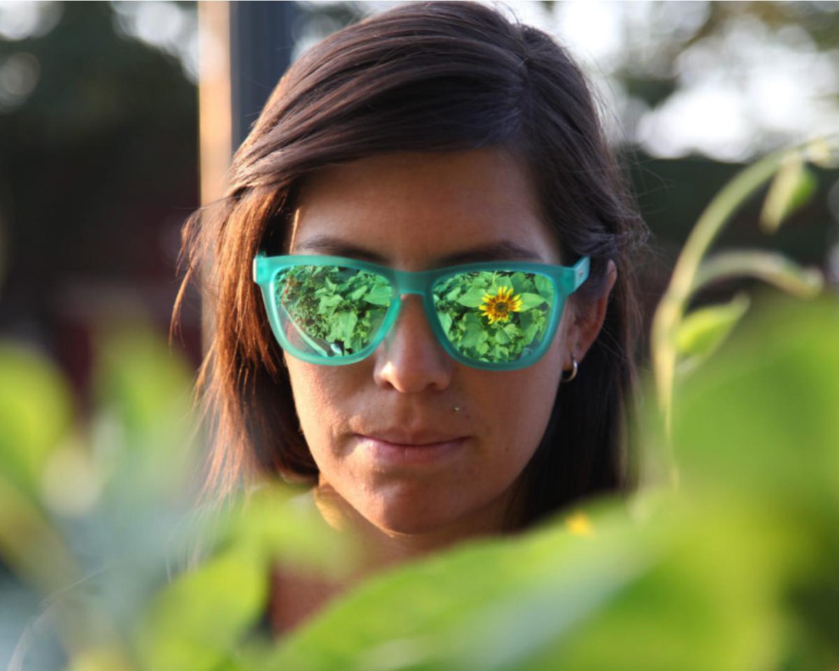 omegasportsnc's tweet image. Everyone loves #Goodr. These 🕶️ have all kinds of ways to make you look good according to #AdventurePro. WE AGREE! Read their article. LINK in our profile or CLICK  
.
#BUYOMEGA 
.
We carry a wide array of Goodrs in stores and only. Funkilcious names ... bit.ly/2OjHPUK.