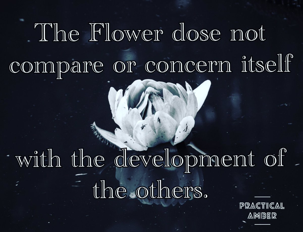 PracticalAmberN's tweet photo. We do ourselves a disservice when we compare ourselves to others; because we’re unique, different, and like no one and nothing else!  #selflove #keepitpractical #yolo #likenoother #unique #beautifulinourownway #selfimprovement #growthmindset #continuingeducation https://t.co/jU3QxLXOwM