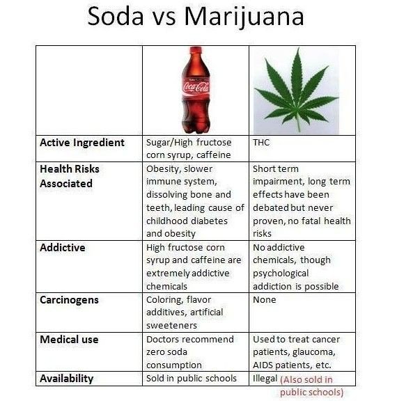 THCish's tweet image. The real deal about #Marijuana/#Cannabis/#Hemp 

#THCish

#GrowLight #LED #HSP #MH #HID #CFL #Edibles #Marihuana #Ganja #Pot #Weed #Kush #CBD #CBDoil #MedicalMarijuana #MedicalCannabis #LegalizeIt #Cronic #MMJ #Colorado #Alaska #Nevada #Florida #Maine #Oregon #Michigan