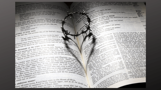 The Lesson of Small Gifts lovewinscec.org/the-lesson-of-…