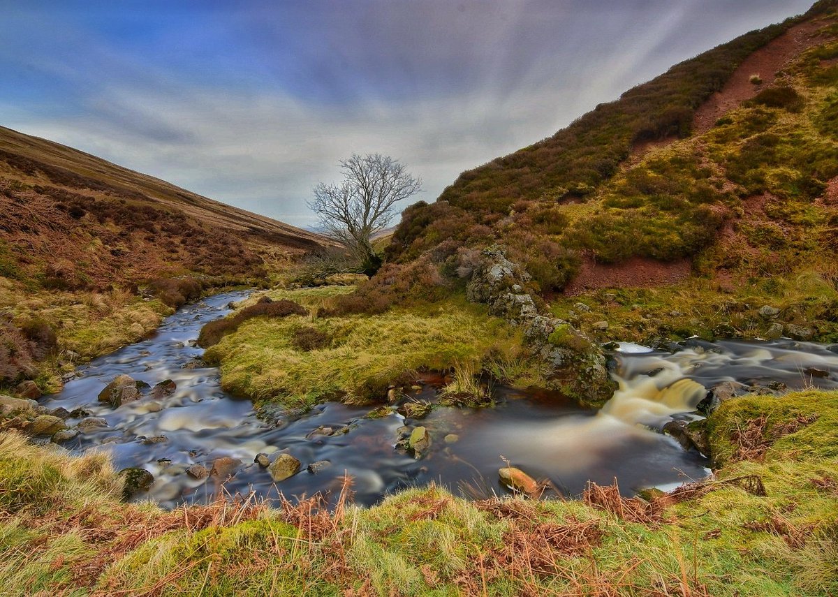 tony6290's tweet photo. Harthope burn foot of The Cheviot Hills near Wooler North Northumberland. #Countryfile #Northumberland #Cheviot #langleeford #harthope #hillfarming #landscape #wooler https://t.co/xeCRplkzg8