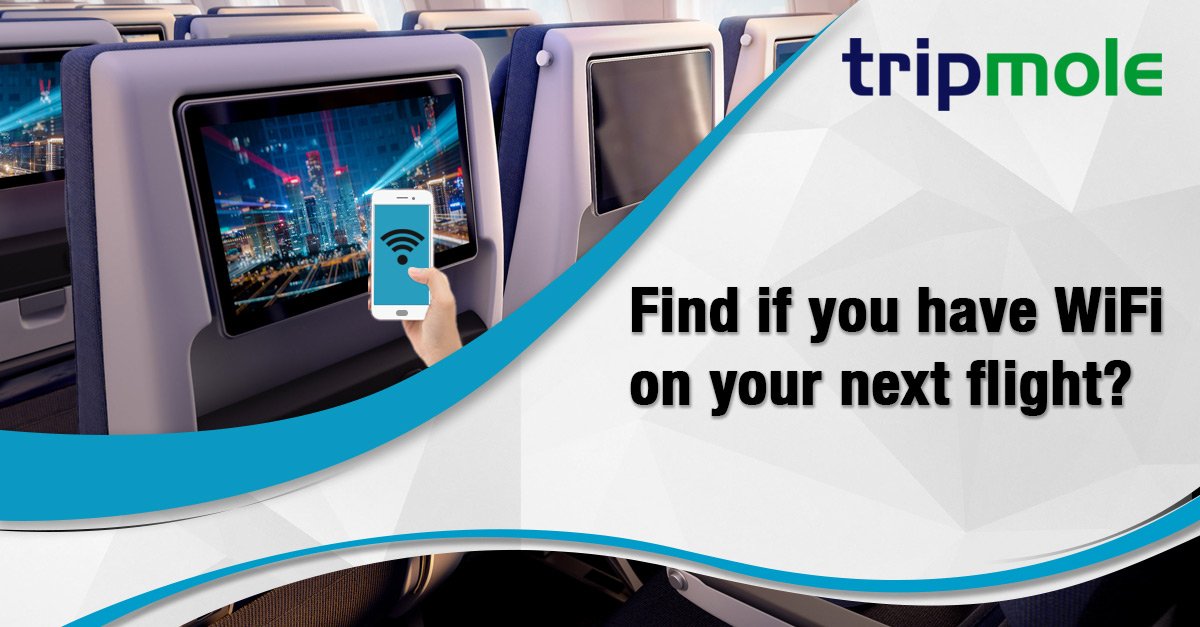Tripmole_'s tweet image. Get access to amenities content that reveals if WIFI is available on flights. With this content, you provide a simplified way to customers so that they can book flights as per their needs.
For more detail visit: tripmole.com
#tripmole #richcontent #amenities  #airline