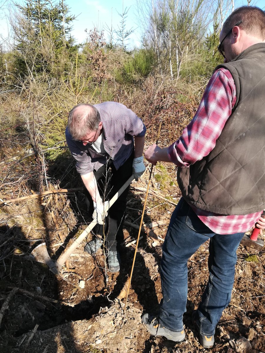 To honour #ForestDay 🌳 our #LULUCF team put our policies into practice planting trees in the beautiful Ardennes 🇧🇪 More trees to help #forests grow, reduce greenhouse gas #emissions and fight #climatechange 🌍👊🏻europa.eu/!xf64GV #FridayMotivation