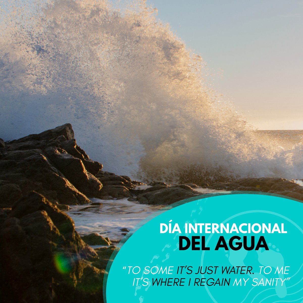 thinkma_world's tweet photo. En el #DiaMundialdelAgua queremos recordar que el #agua es un bien preciado, esencial para la vida, y que debemos cuidarla. No contaminarla y no malgastarla. Porque como decía Thomas Fuller: "Nunca reconocemos el valor del agua hasta que el pozo está seco". #DiaMundialdelAgua 💦 https://t.co/UrhjwCpnIW