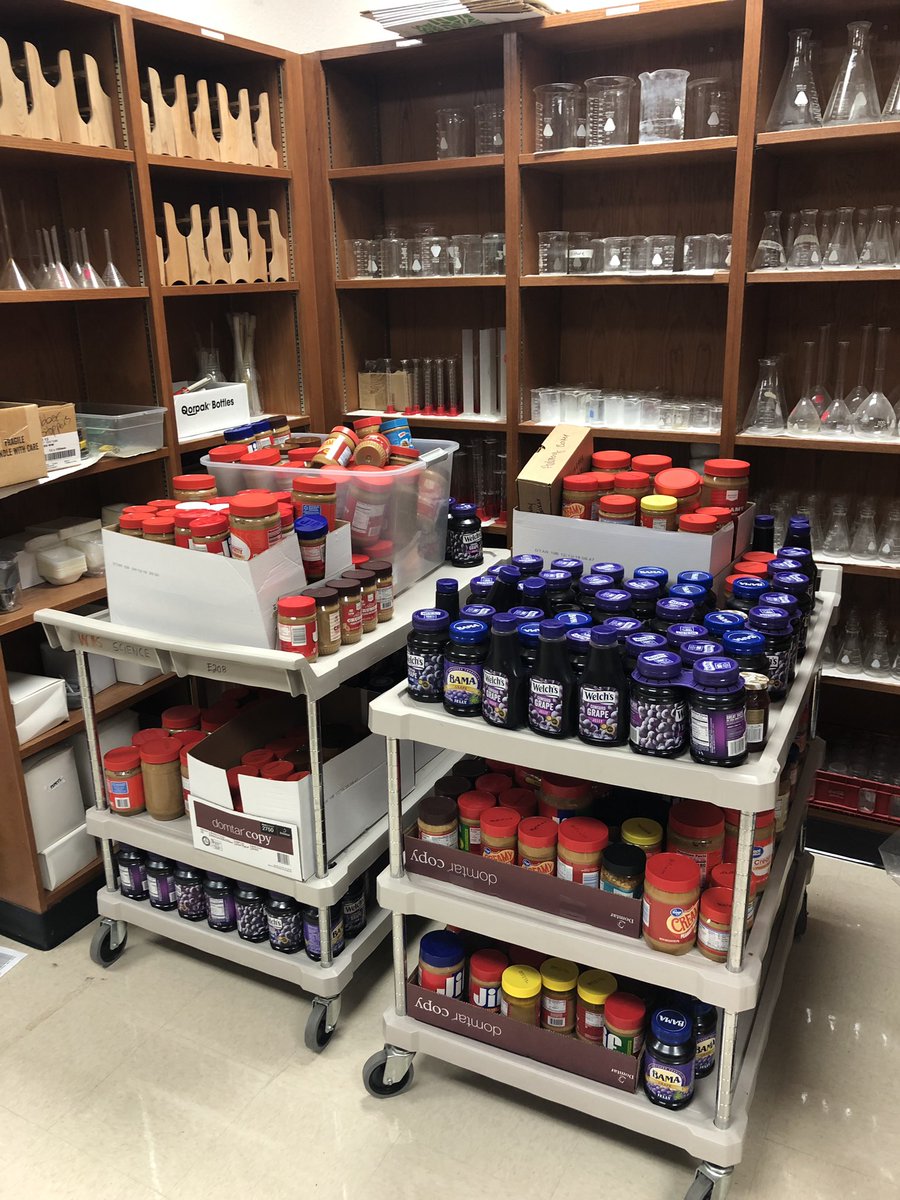 wakelandNHS's tweet photo. THANK YOU!! Due to everyone’s generosity we were able to collect over 500 items for the FFS Food Pantry!! 🌟🌟🌟🌟 https://t.co/FE7e5Tp6KQ