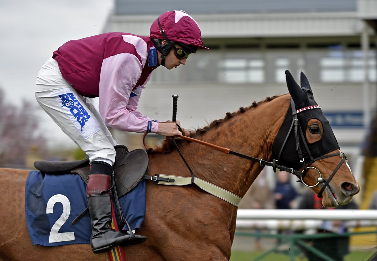 Almost the perfect start... Lantiern just comes up short in my first spin for the new team👌🏼 #HarryWhittingtonRacing #3rd #HorseForTheFuture 

📸 - @FranAltoftPhoto