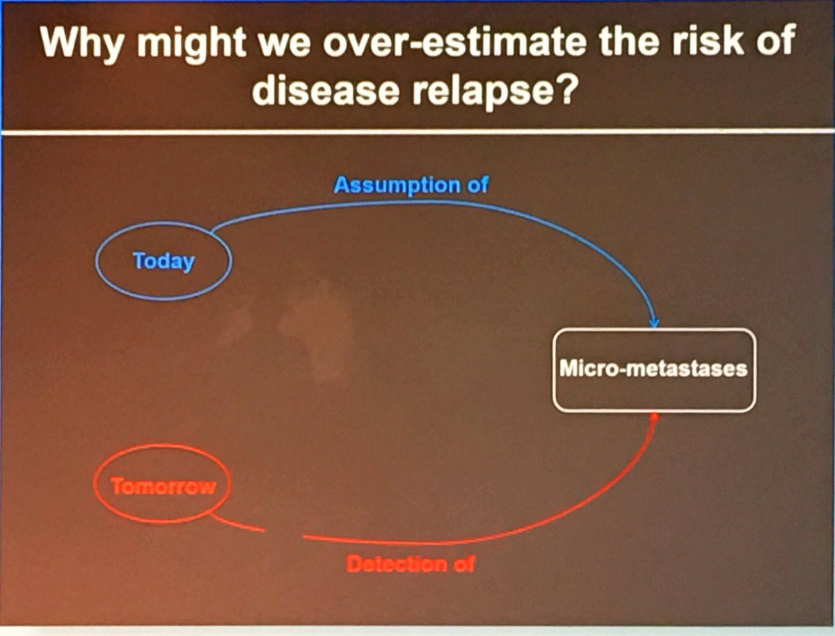nicolobattisti's tweet photo. Great discussion by A Di Leo on adj &amp; neoadj chemo in ER+ HER2- #breastcancer at #BCC2019 with great insight in TAILORx data interpretation #bcsm @OncologiaPrato https://t.co/r4YFxQZLL4
