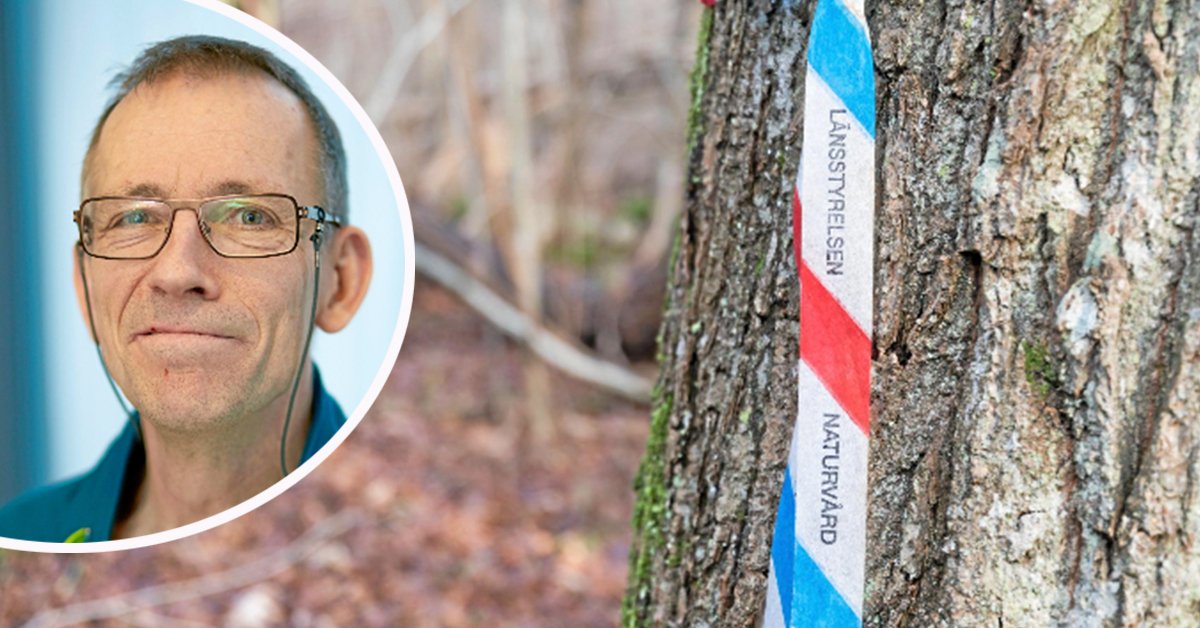 Sveaskog nära målet för naturvårdshänsyn: bit.ly/2JzIL8L <a href="/sveaskog/">Sveaskog</a> #skog