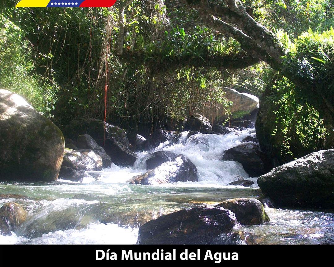 En el Día Mundial del Agua ratificamos nuestro compromiso con las políticas de protección y conservación de nuestros recursos hídricos. No descansaremos hasta garantizarle a todo el pueblo venezolano el suministro del vital líquido, ante los constantes sabotajes.