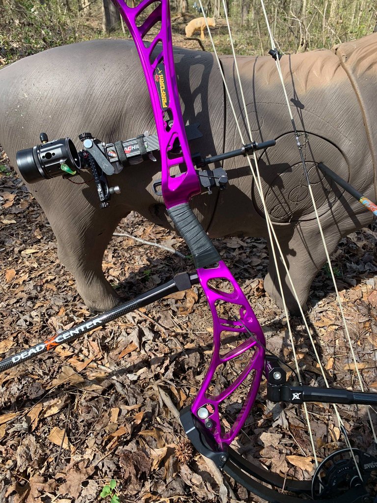 PSEBows's tweet photo. 💥 THIS WEEKEND 💥 #TeamPSE competes at the second ASA Pro-Am of the year, in Uchee Creek, Alabama! 🏆
Who's ready for some 3D archery? 🦌🏹
📸: Jack Wallace II
#pse #psearchery #3d #3darchery #archery #psebows #arrow #outdoorlife https://t.co/r229dmitRL