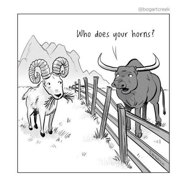 KimCraig0590's tweet photo. Have a RAMTASTIC FRIDAY #RamFam! https://t.co/NGqPhOz4Si