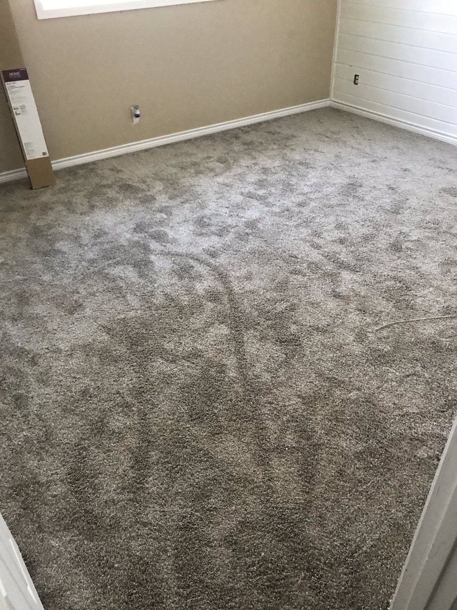 ExpertsFloor tweet picture
