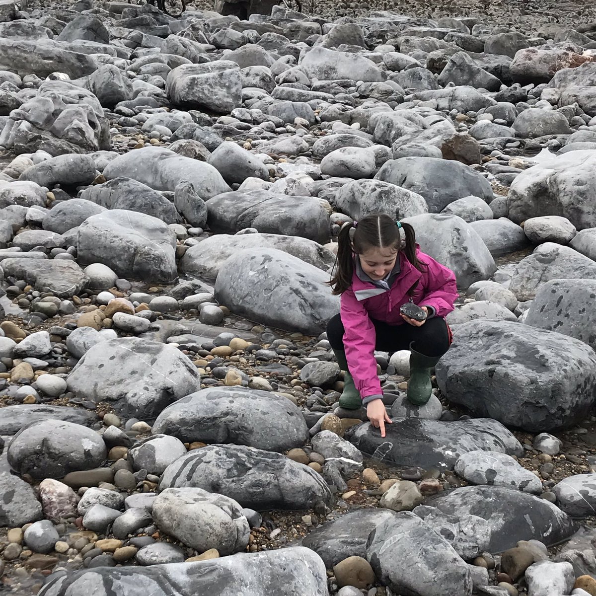 Beach Academy tweet media