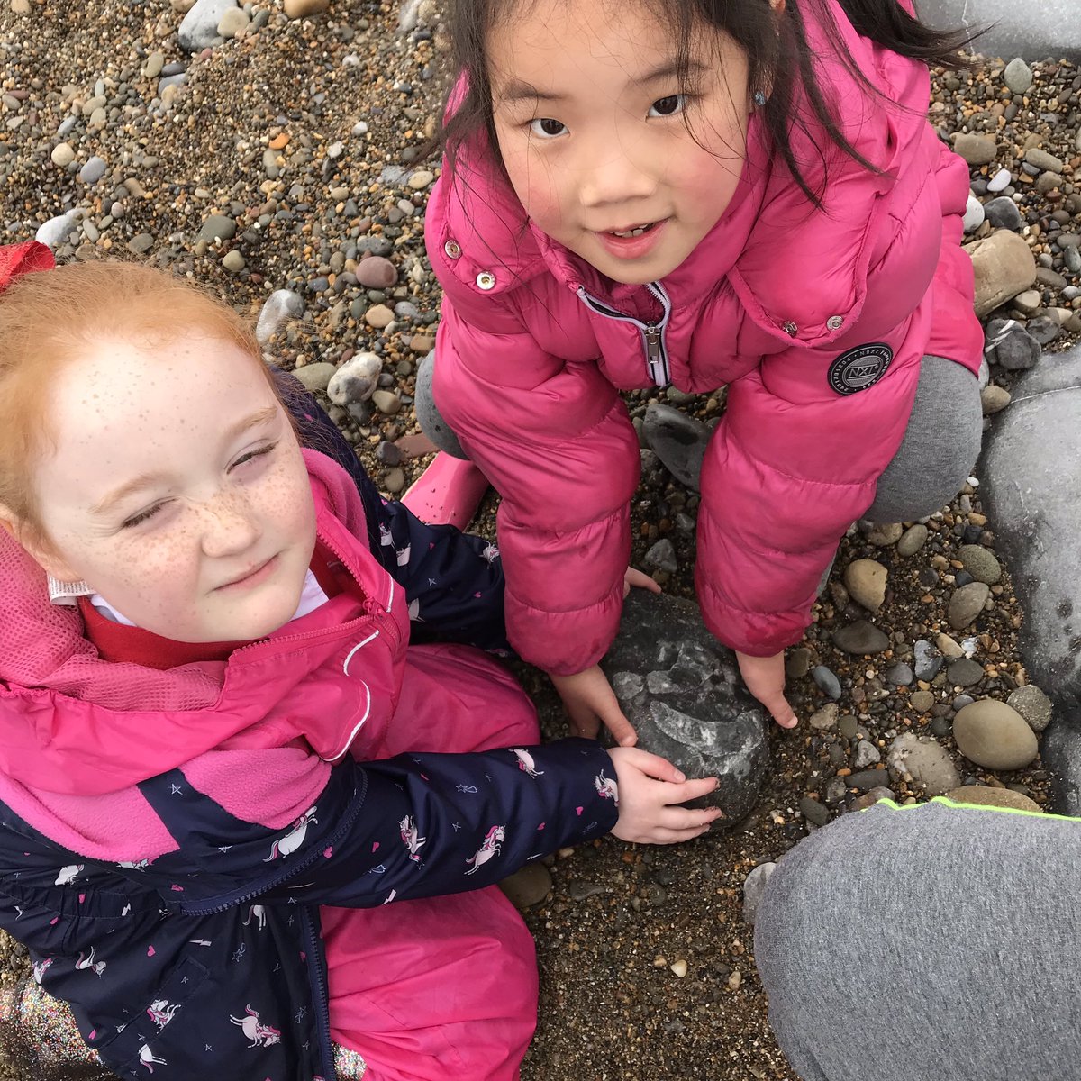 Beach Academy tweet media