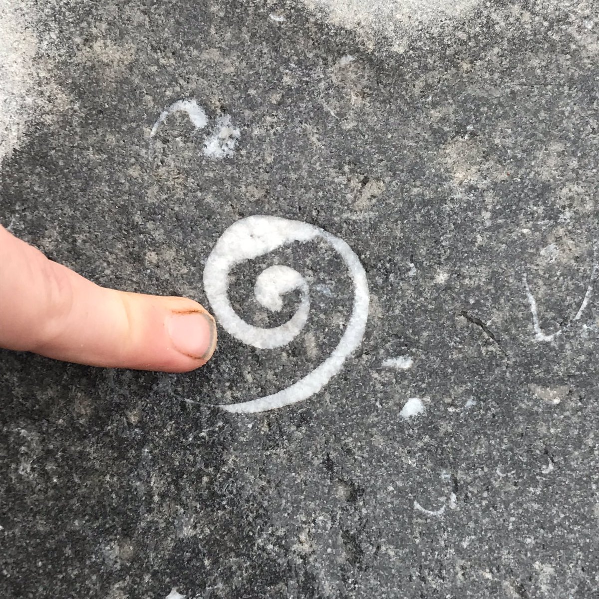 Beach Academy tweet media