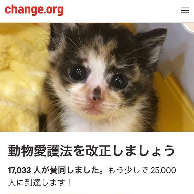 ユニーク頑張れ 画像 動物 最高の動物画像 ユニーク頑張れ 画像 動物 最高の動物画像