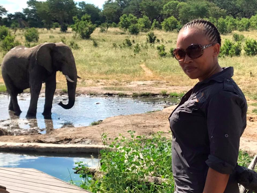 AfricanBushCamp's tweet photo. Welcome our new manager at Somalisa; Emily. And what a lovely picture #LiveInCamp, she just sent us from Hwange. Join us at Somalia: https://t.co/YOpldy9k1g
#Somalisa #VisitZimbabwe #Hwange https://t.co/hArujrPdiI
