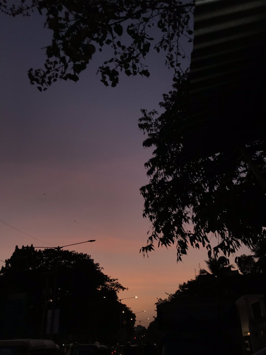 HetaKhakhar's tweet photo. *Fourth of july by Sufjan stevens playing in background* https://t.co/KBNG6mi40J