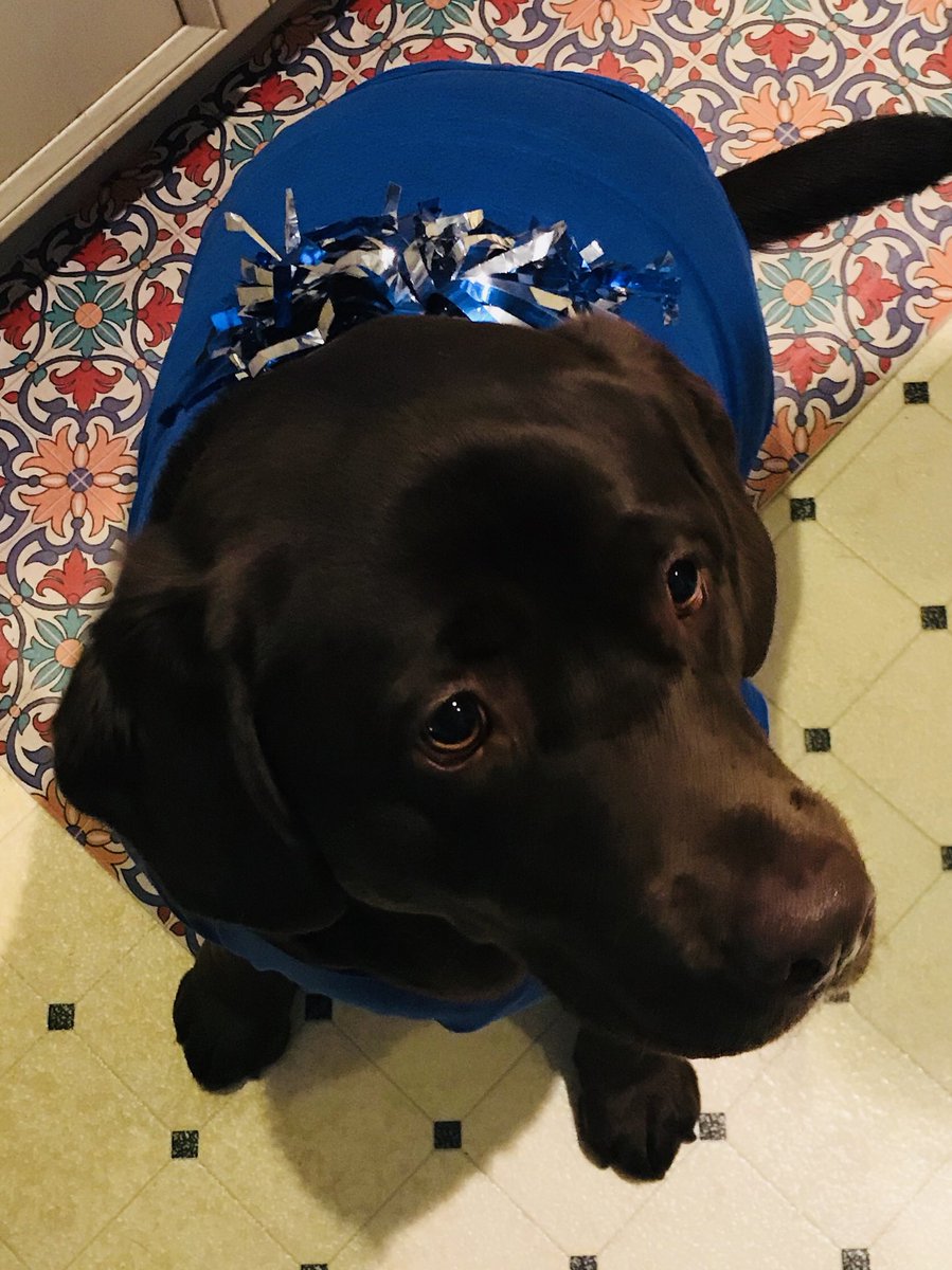 KelliePeiper's tweet photo. Letβs Go Bulls! #UBhornsUP #MrsWatson #Beanie π€π https://t.co/CQ59ngf8xd