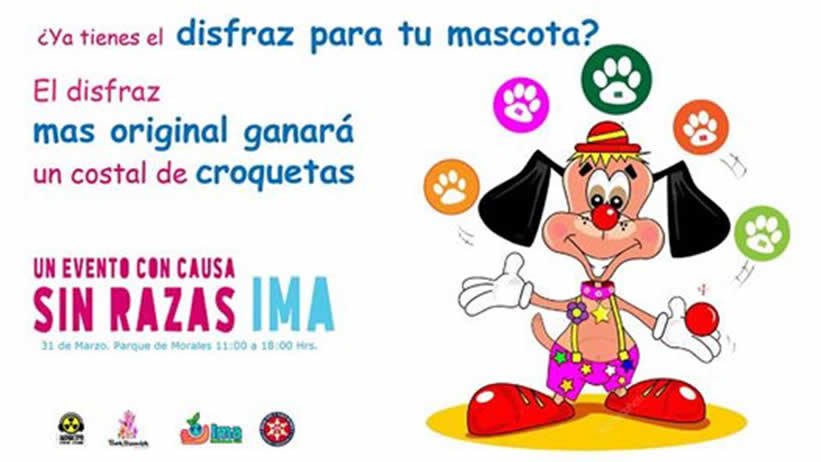 pignedo's tweet photo. SUBE LA SELFIE CON TU MASCOTA PARTICIPANTE en este enlace https://t.co/0Fcj5LtgdY para que obtengas rus 200 puntos que pueden hacer ganar el rally #SinRazasIma, SLP #EquipoTének #TénekUxumchik https://t.co/5rQQ4Bmi0y