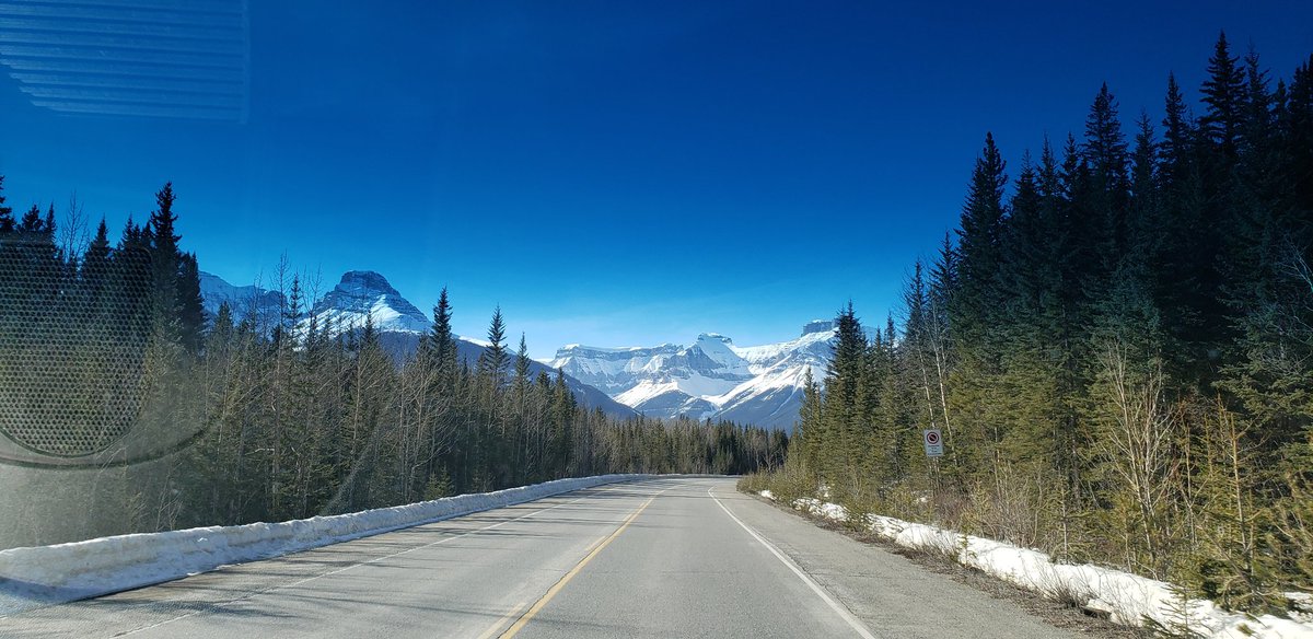 DrRecruiter_IH's tweet photo. What a gorgeous day it was yesterday driving to #Jasper for the @UAFamilyMed event today. If you are attending the Frezer, stop by our #InteriorHealth booth to see how it's #betterhere.
@IH_Jobs @HealthMatchBC @DoctorsOfBC https://t.co/Nn2cMF2ZeO