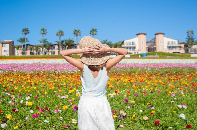 AllianzTravelUS's tweet image. Happy #Springtravels 🌷🌼☀️ #travelhappy #springvacation #springbreak #spring ow.ly/4tBB50nwdSY