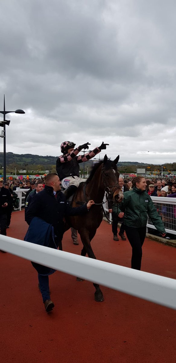 aracingfirst's tweet photo. Ch'itbello winning the County Hurdle at #CheltenhamFestival2019 - Cracking win for @aracingfirst and of course #TeamSkelton https://t.co/F28idzw7a1
