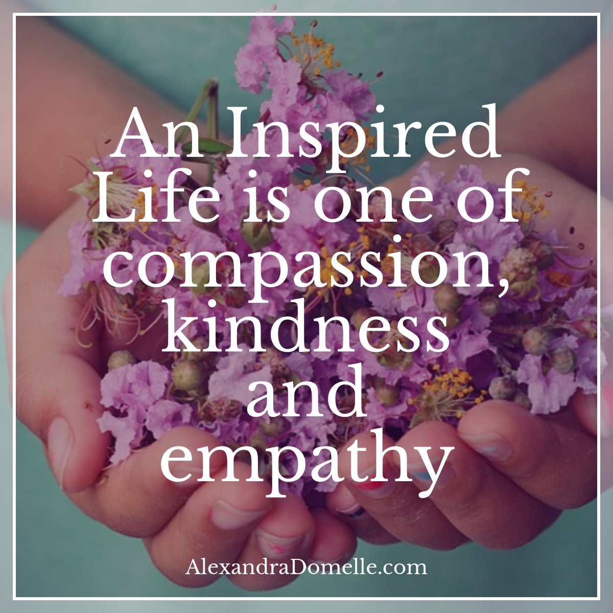 sandrafine2b's tweet photo. @BellaBelle1129 🌹💖🌹 https://t.co/RAb8htcotc