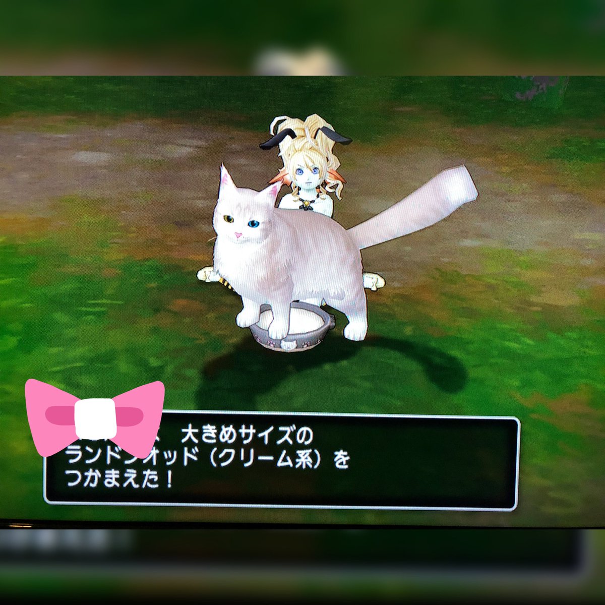 メレアーデのお部屋