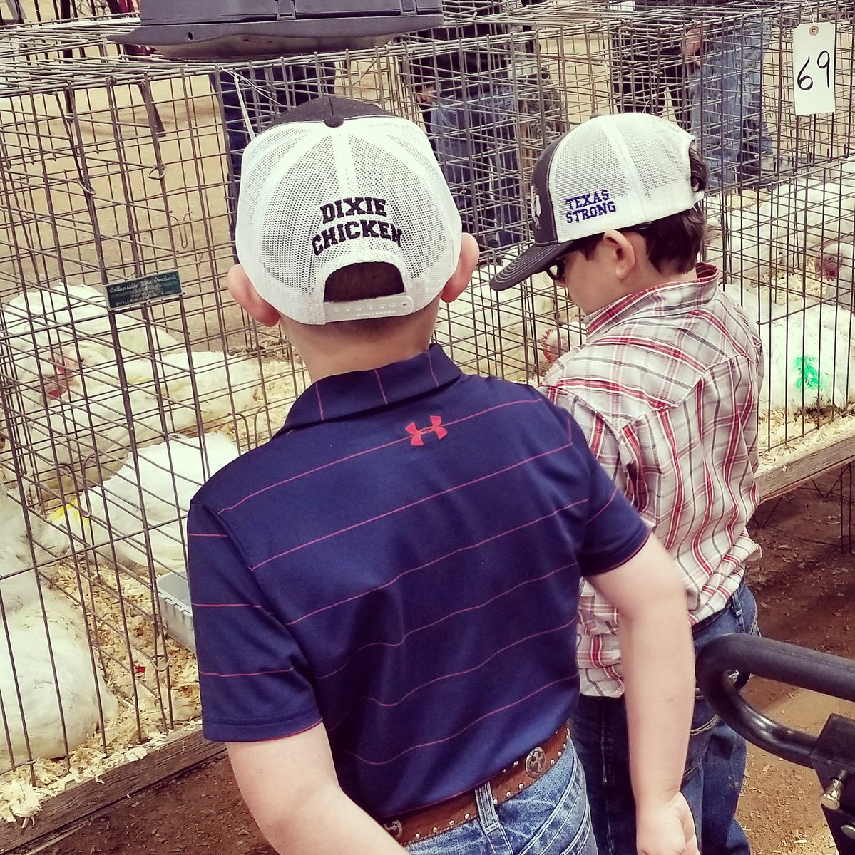 The Dixie Chicken tweet media