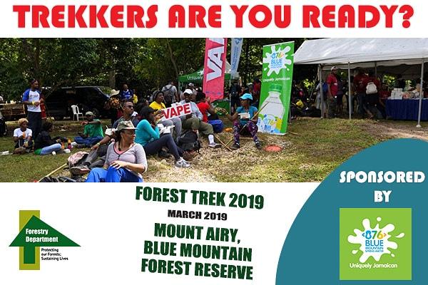 ForestryDeptJa's tweet image. TREKKERS, ARE YOU READY?

It’s tomorrow!

Research suggests that water increases brain power and provides energy.

Thank you @876water for being the official water sponsor for Forest Trek 2019.
....
#SponsorHighlight
#ForestTrek2019
#ForestryDeptJa
#FitnessLifestyle
#hiking