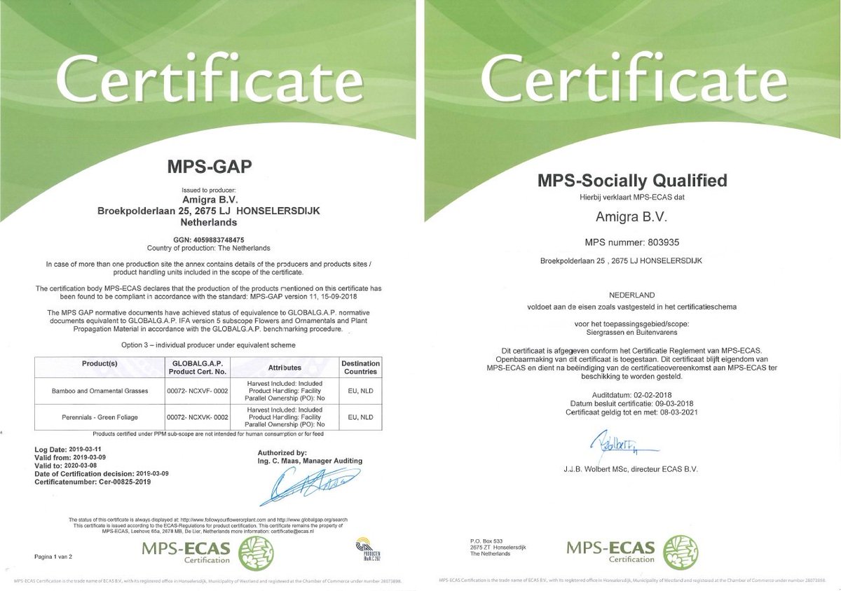 Wist je dat wij naast onze MPS A+ certificering ook MPS-GAP en MPS-SQ gecertificeerd zijn?

#Grassen #Kweker #Trots #MPS #Certificaat