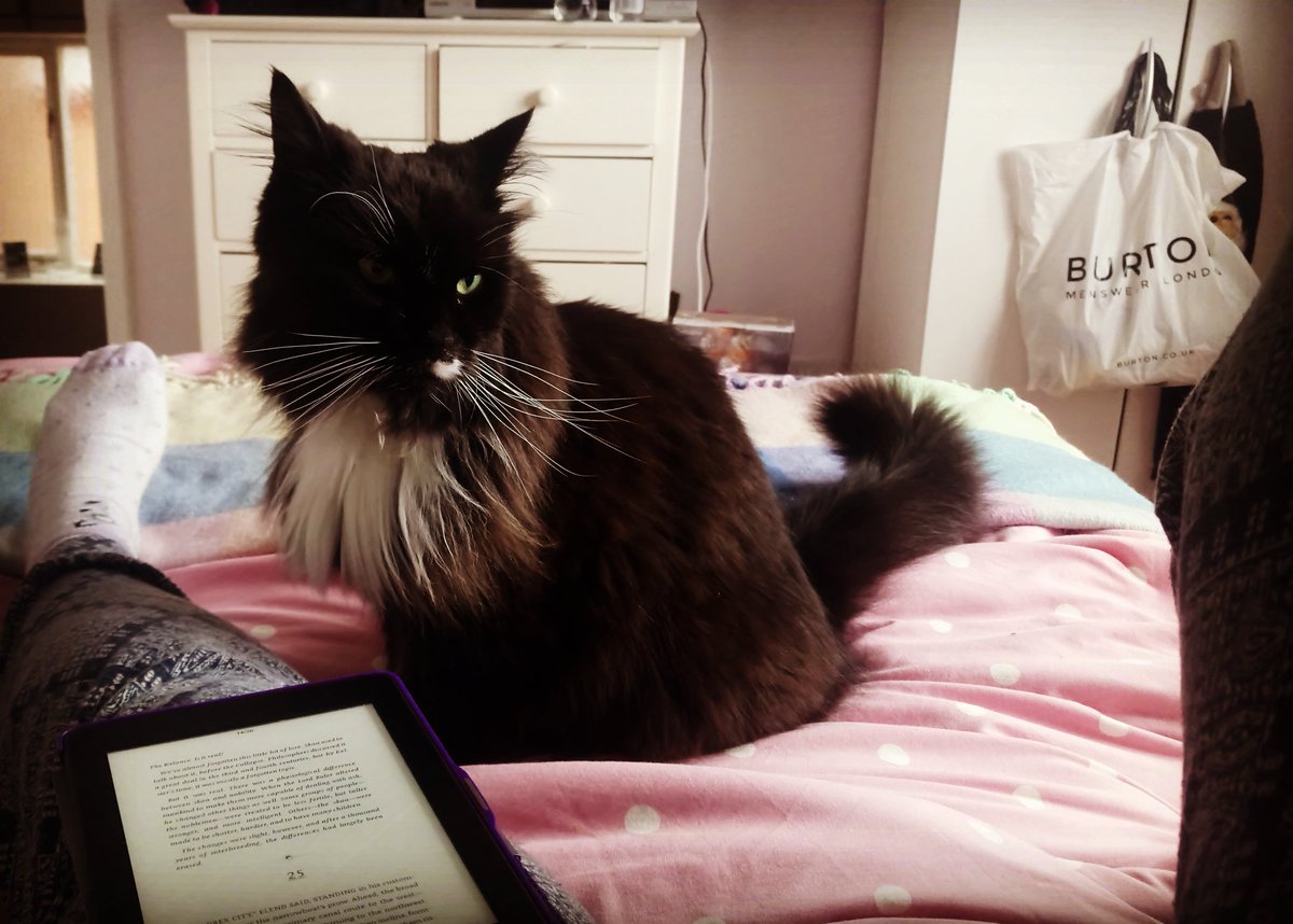 ZoeEDarbs's tweet photo. Taking a day off from writing and what better way to spend it! Two of my favourite things 😍 #Kindle #cat #crazycatlady #reading #books #love 🤓 https://t.co/pO4I2p71rV