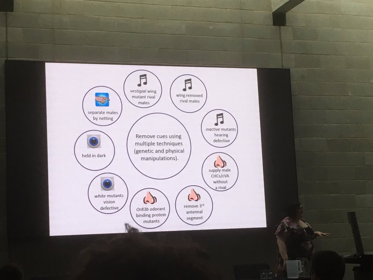 Dr Kris Sales tweet media