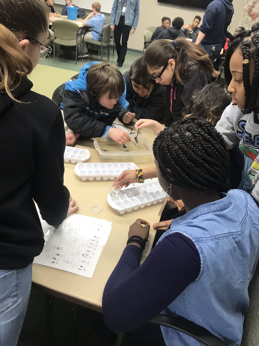 DCrosbyMGA's tweet photo. Kicking off our Environment Unit. Unfortunately the windy weather brought us indoors. Fortunately Robinson Nature Center has some awesome activities for us!! #AACPSAwesome #STEMed https://t.co/P9Gm6XOZSY