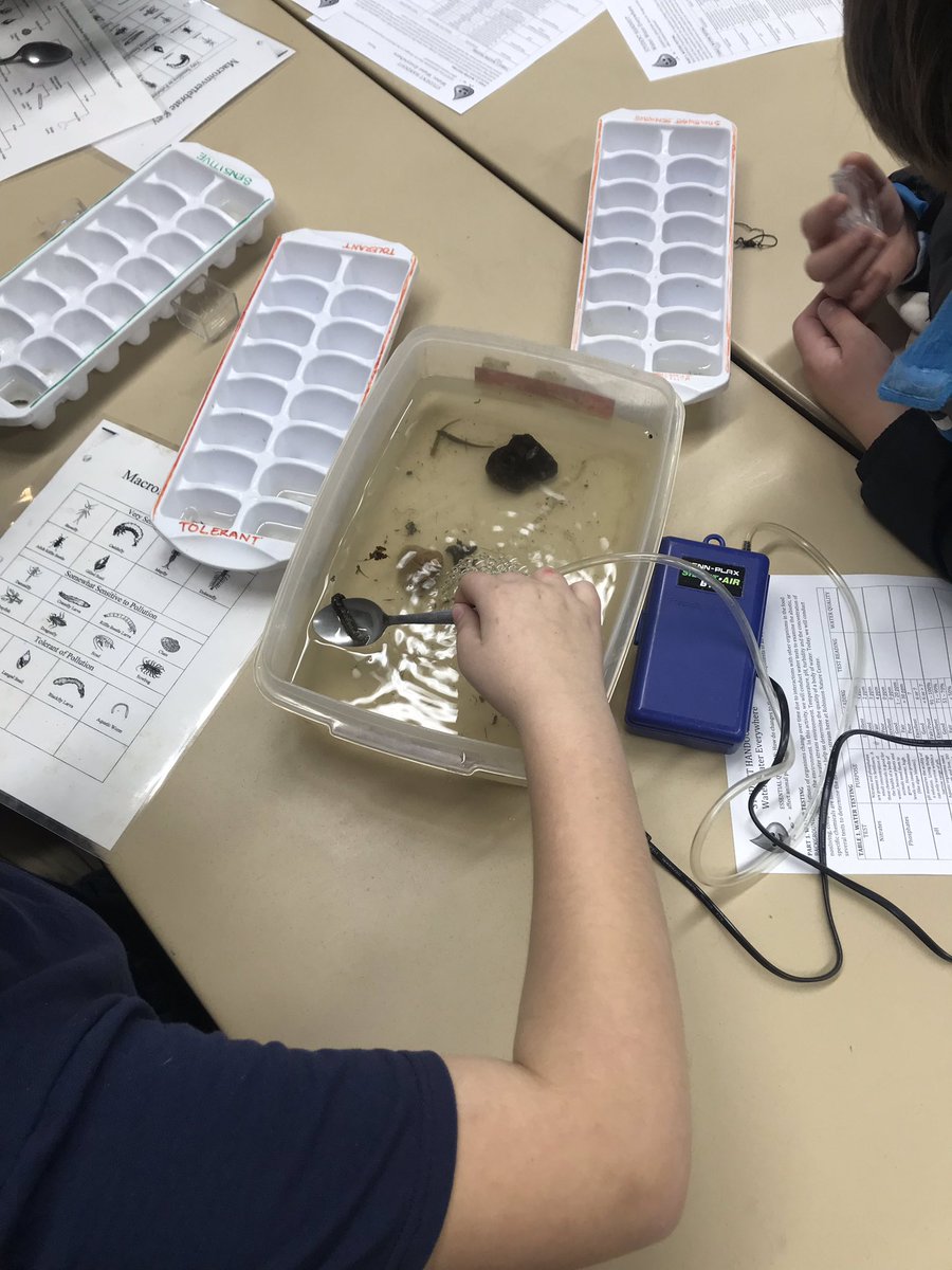 DCrosbyMGA's tweet photo. Kicking off our Environment Unit. Unfortunately the windy weather brought us indoors. Fortunately Robinson Nature Center has some awesome activities for us!! #AACPSAwesome #STEMed https://t.co/P9Gm6XOZSY