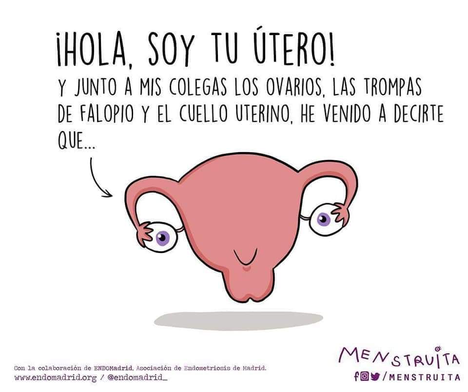 MujeresMae's tweet photo. https://t.co/xOfU563SBh