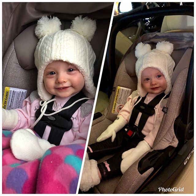 mkhomes20's tweet photo. Picked up this little Bunny today- happy as ever!  Love my Lily day❤️ https://t.co/jVfn86aZdD https://t.co/OMOIoR35JH