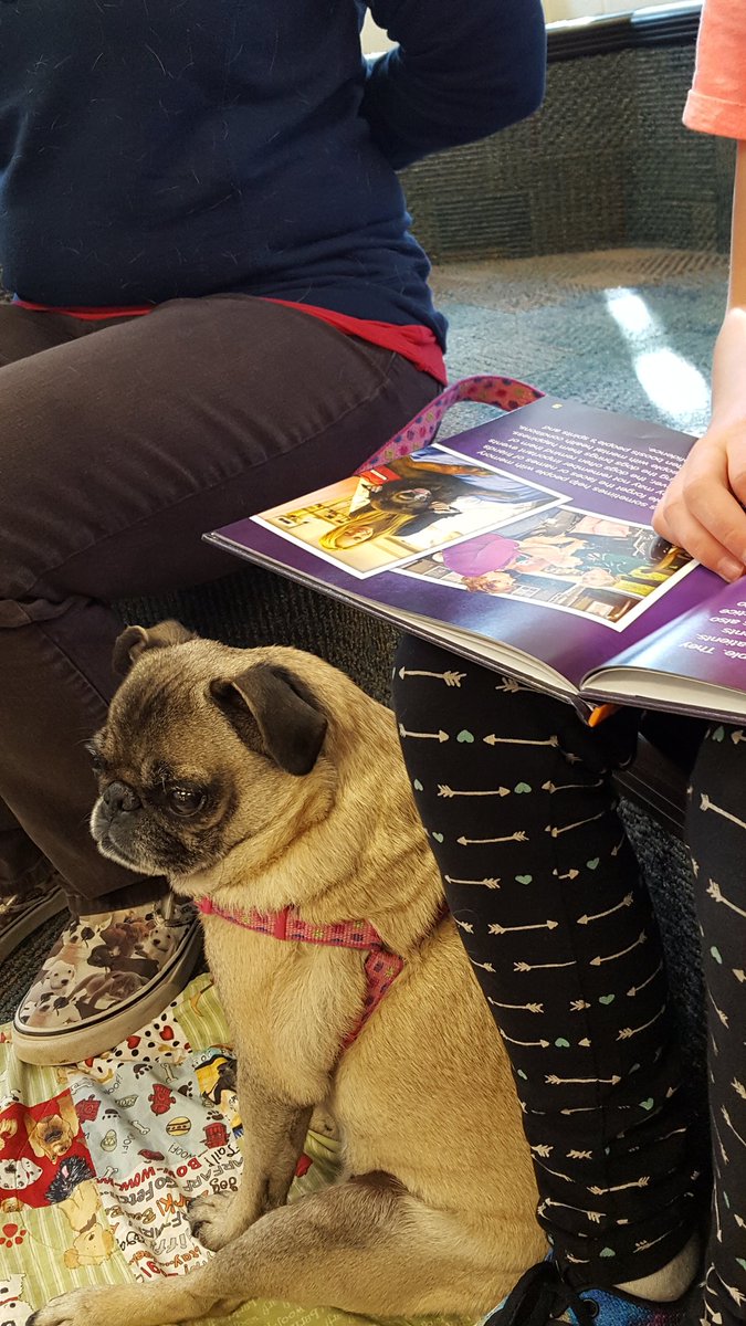 salemswebber's tweet photo. What a treat! Webber's best friend, also a Registered Therapy Dog visited Salem today. This Friday was twice as much fun! #fetchagoodbook @SalemESVB @VaAgriculture #agliteracy @crheinha https://t.co/ZuO0GrCeff