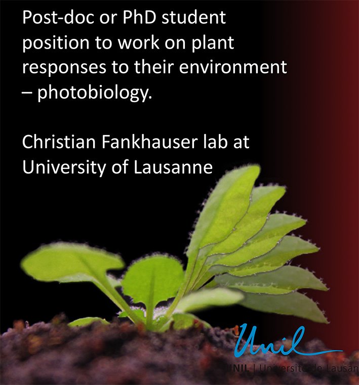 FankhauserCh's tweet photo. Please RT. To apply for the open post-doc position @FankhauserCh lab please check here https://t.co/NdxN9O7HZb https://t.co/9QxOjkB5Iv
