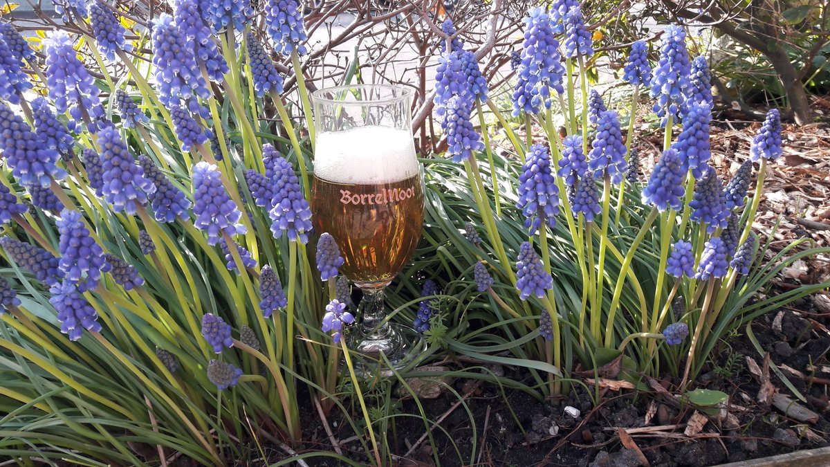 LENTE!!