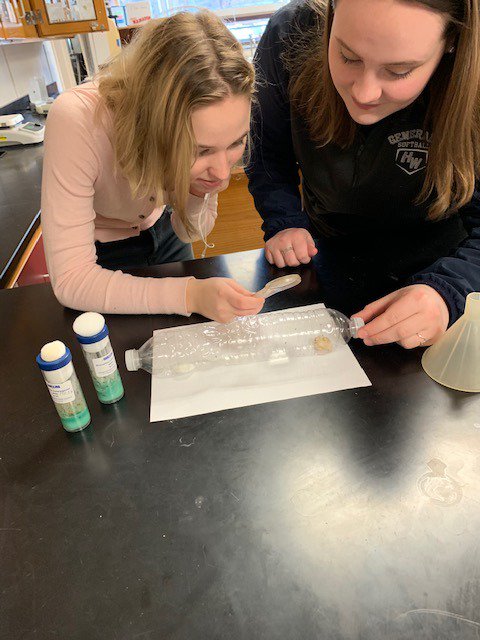 DolanBio's tweet photo. Fun with drosophila in AP bio https://t.co/9aPagJgaXX