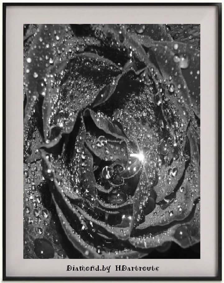 DupyVon's tweet photo. #Art
#HDartroute
#HD
#HelenvD https://t.co/JMPz234Y54