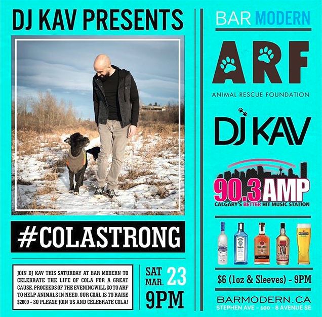 ampcalgary's tweet photo. If you want to donate to @ARFAlberta in memory of @Colabutt , here is the link: https://t.co/DPxGYwzHRe #AMPMorningsWithKatieAndEd https://t.co/wko26oe224