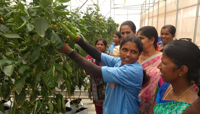 FoodTechIndia's tweet photo. Special importance on female empowerment today. FoodTechIndia training for female farmers at the demonstration polyhouse in Tumkur. More trainings will follow in the future! https://t.co/J2KjJQ98e0