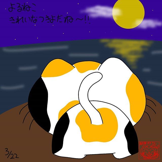 月夜が綺麗 月夜が綺麗