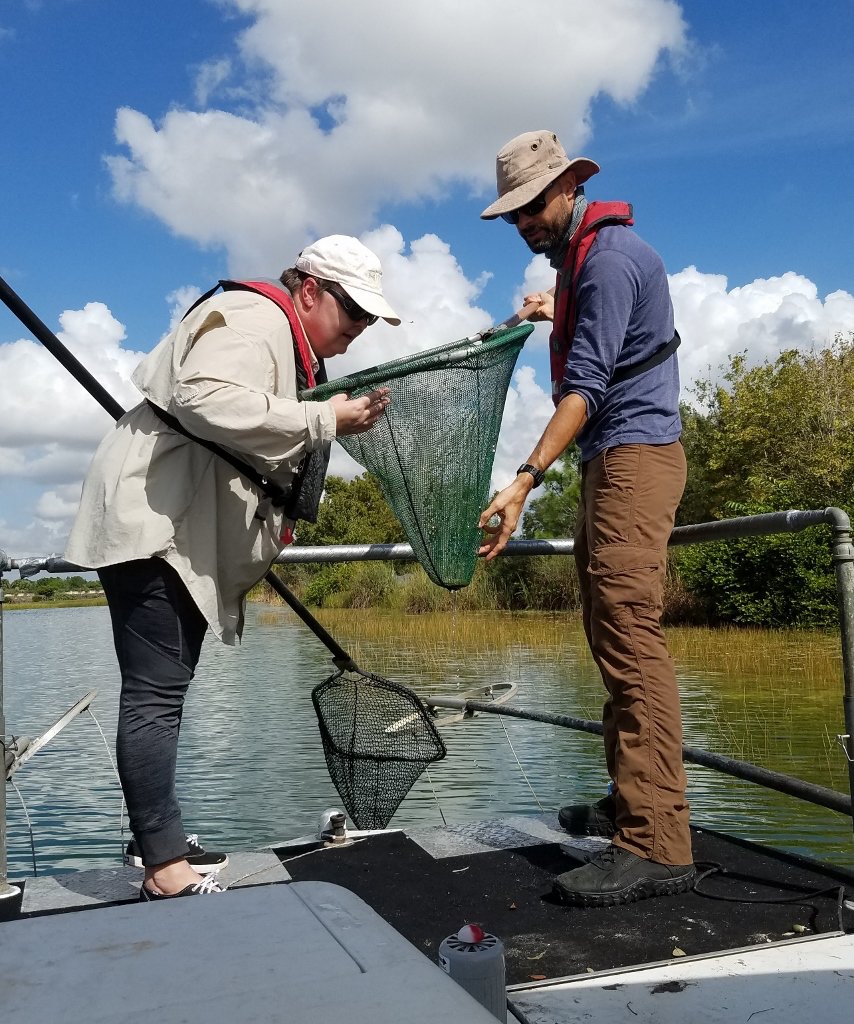 USGS's tweet photo. #FishSlam comes to Vero Beach, FL 3/27-28. @USGS will lead teams of experts on a scientific scavenger hunt for non-native fishes in freshwater. Twice a year Fish Slams help document non-native fish species'  arrival and expansion. USGS Photo: Nov 2018 Fish Slam, Miami. https://t.co/w1YCTaON3n