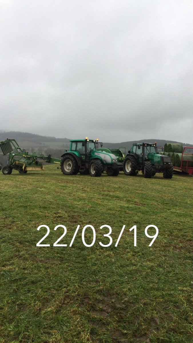 Zero grazing today 👍🏼