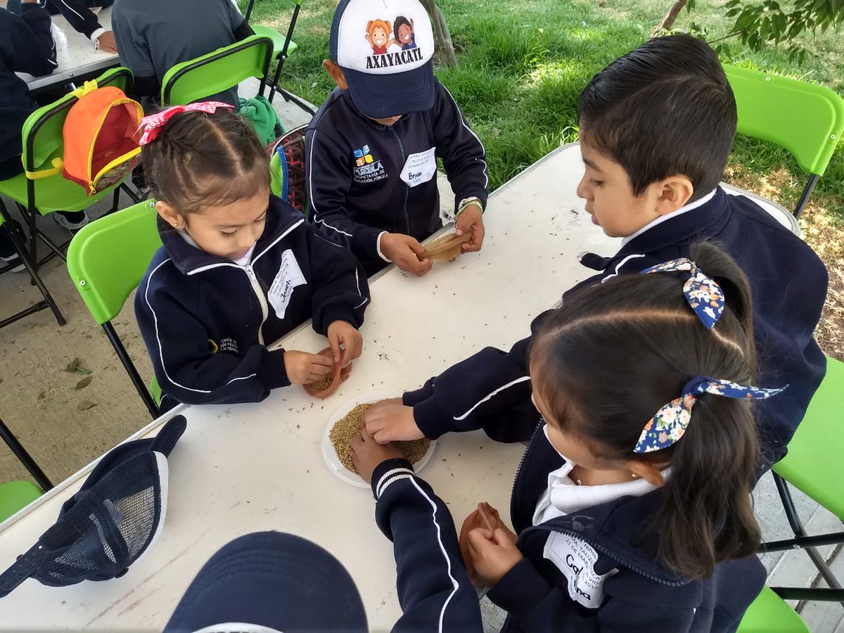 CasasAMP's tweet photo. “Educar desde el medio y para el #medioambiente. Es el primer paso para cambiar”. Los niños que reciben educación ambiental durante su formación escolar, desarrollan una mayor preocupación por el tema y hábitos de consumo más responsables. #DignificandoNuestrasRaíces https://t.co/sJb60WltnC