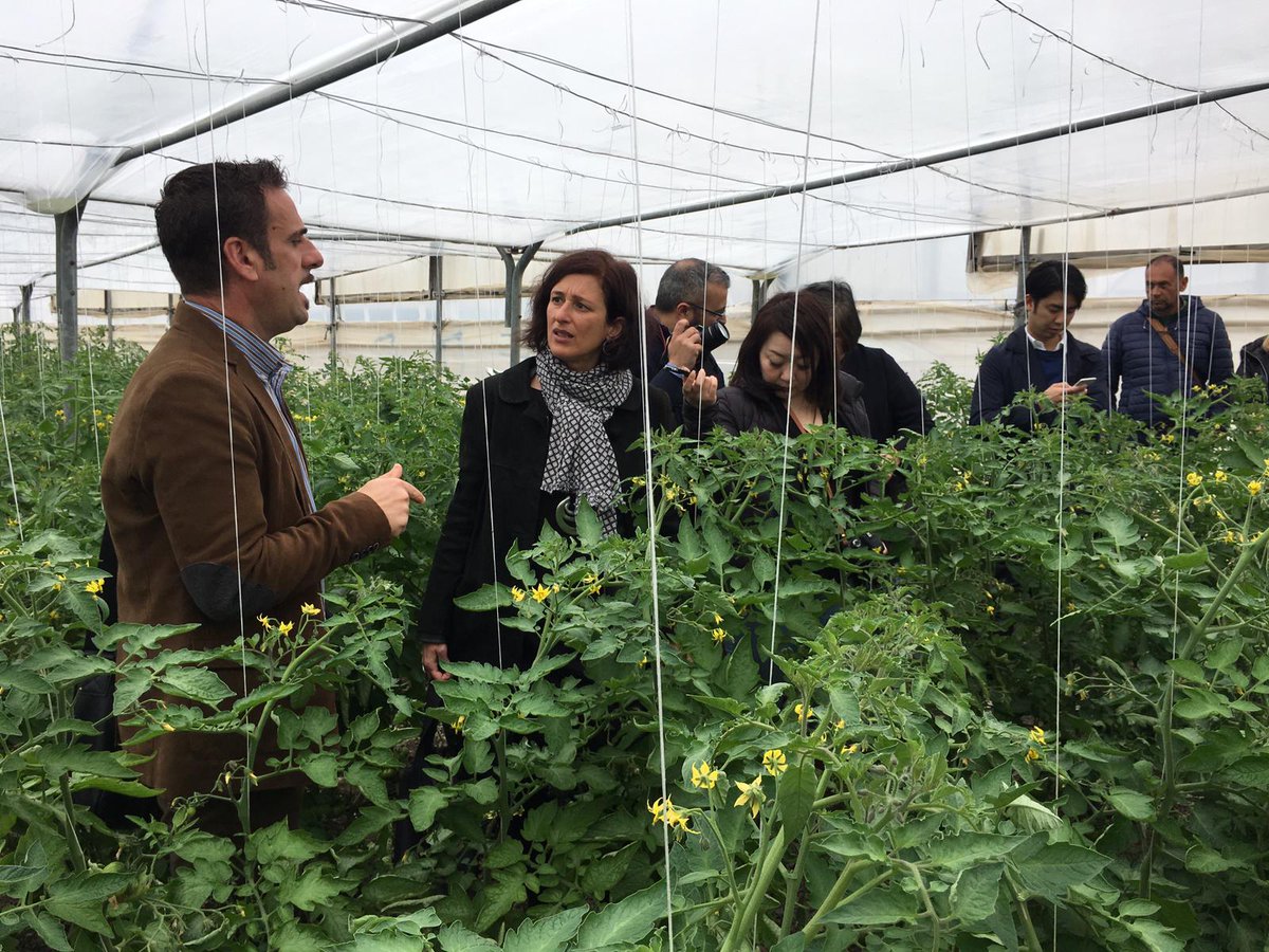 Un onore ricevere la delegazione giapponese in visita in Sicilia per coprire le eccellenze del territorio❤️
#Japan #Sicily